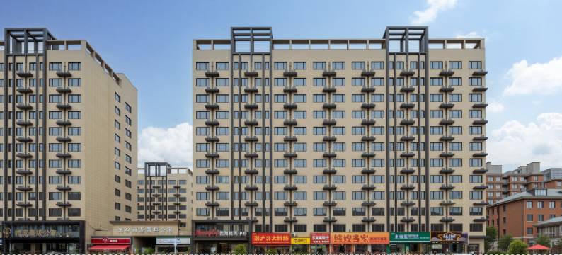 Homeplus公寓(武汉大学人民医院东院藏龙东街地铁站店)图片