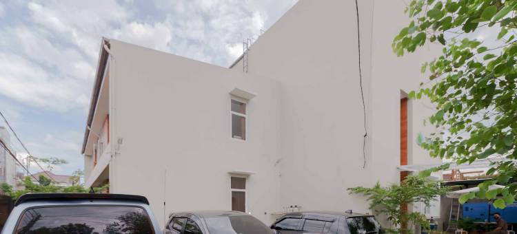 Palm Eight RedPartner图片