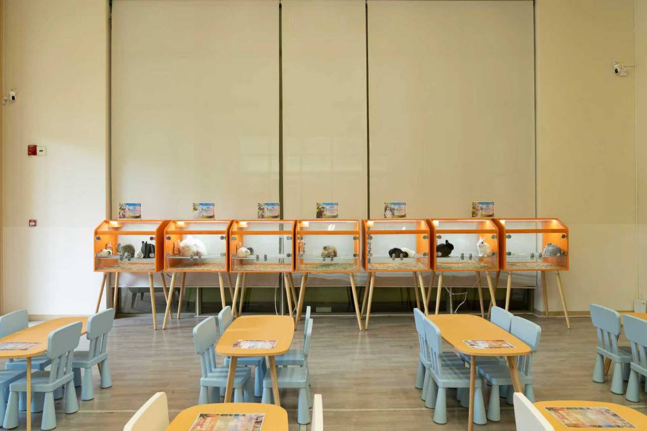 抚仙湖希尔顿酒店图片