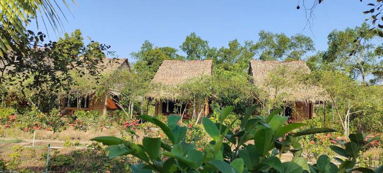 湄公生态小屋平房(Mekong Ecolodge Bungalow)图片