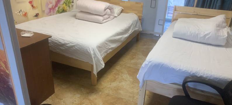 大棵菜旅店图片