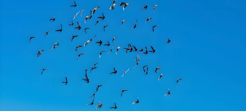 布丁酒店(北京清华长庚医院天通苑地铁站店)图片