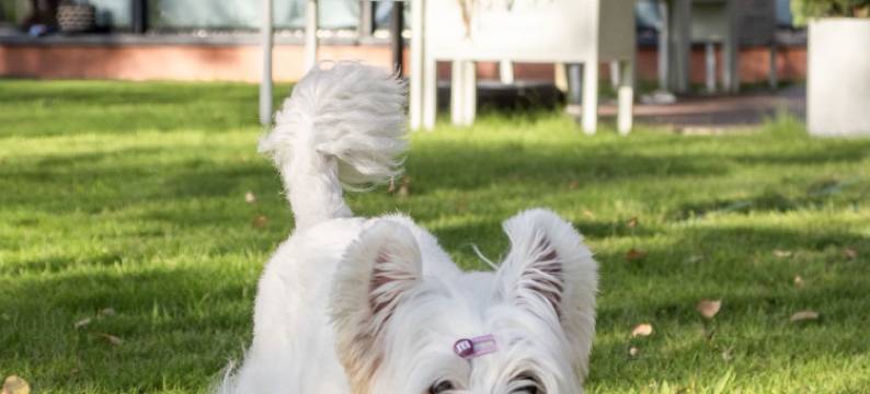 重庆美利亚酒店图片