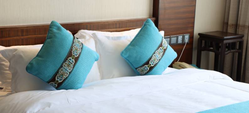 荷泰海景酒店(海口国贸中心万绿园店)图片