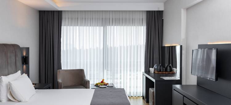 伊斯坦布尔排球酒店(Volley Hotel Istanbul)图片