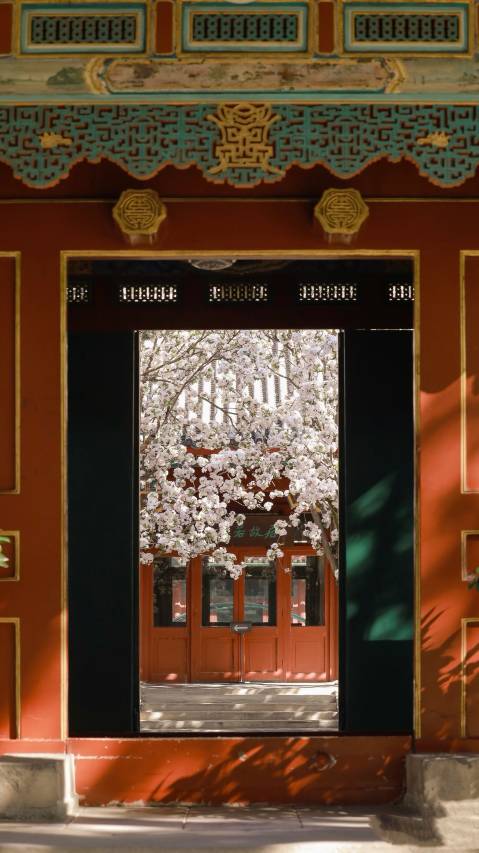 北京秦府|法式琉廊·全景露台四合院 (雍和宫南锣鼓巷店)图片