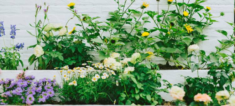 瑾庭花园·DreamLife闲度美宿(大理古城店)图片