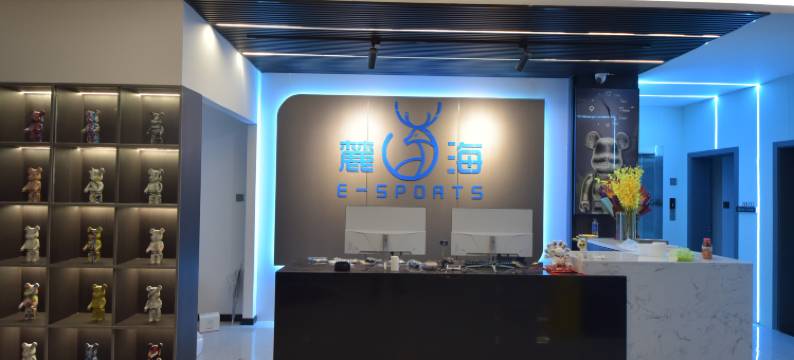麓海影视电竞酒店(大理高铁站店)图片