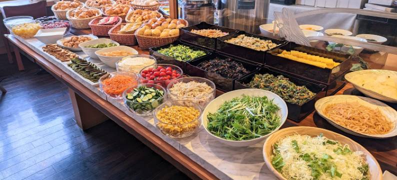 京都八条口埃尔森特酒店(HOTEL ELCIENT KYOTO HACHIJOGUCHI)图片