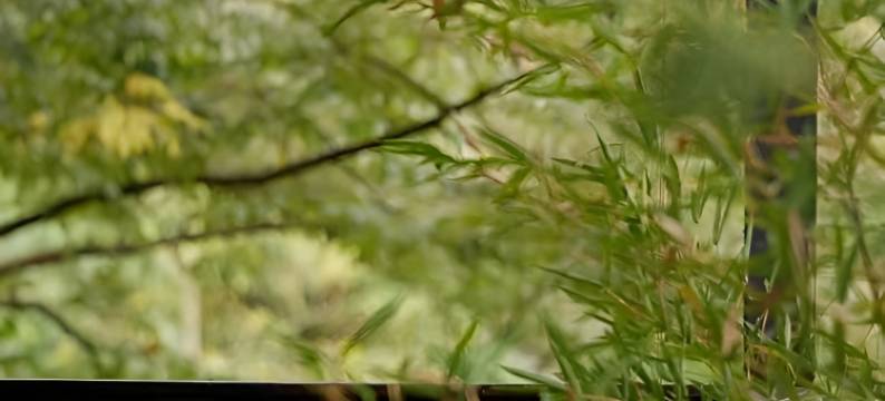 香米拉温泉美宿(温汤古井泉街店)图片