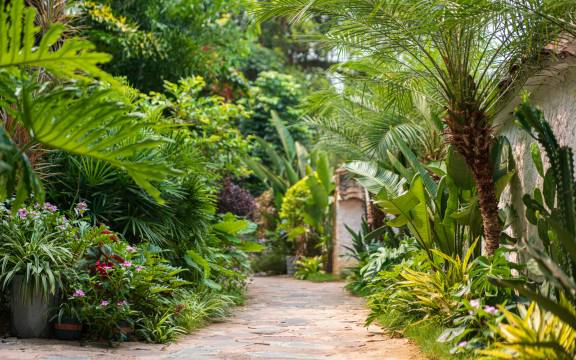 崇左一千零一个院望·黛院图片