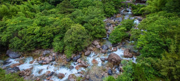 黄山翡翠度假村(黄山南大门翡翠谷店)图片