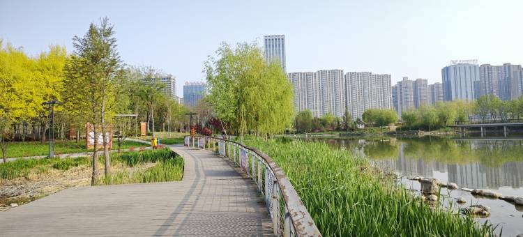 心居智慧民宿(万达广场安阳博物馆店)图片