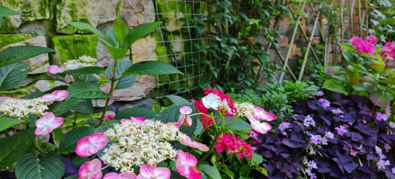 张家界憩舍图片