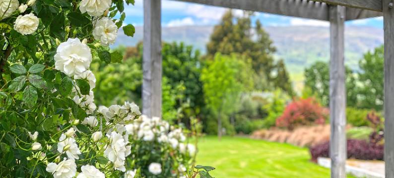 高山景别墅酒店(Alpine View Lodge)图片