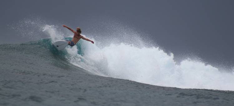 Avanti Surf & Stay图片