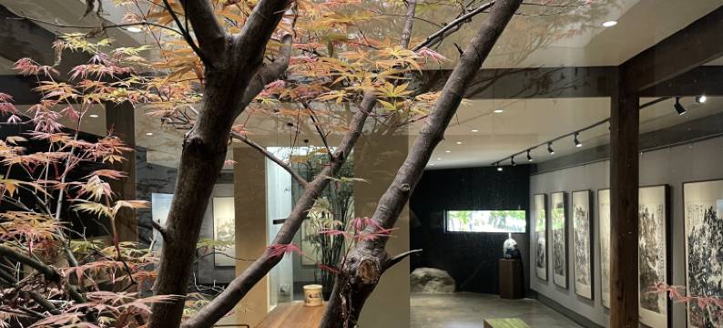 水天一舍艺术设计民宿(黄山歙县店)图片