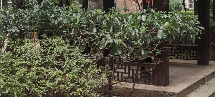 河马青年旅舍图片