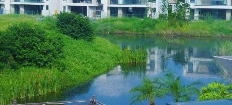 江门望舒舍民宿(信达碧海银湖古兜温泉店)图片