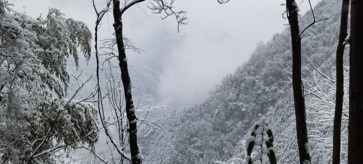 什邡十里松涧汤池民宿图片