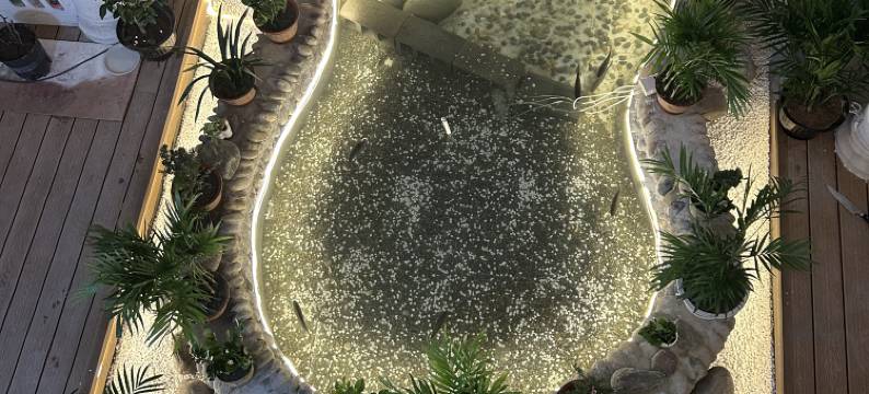 悦庭楠舍休闲民宿图片