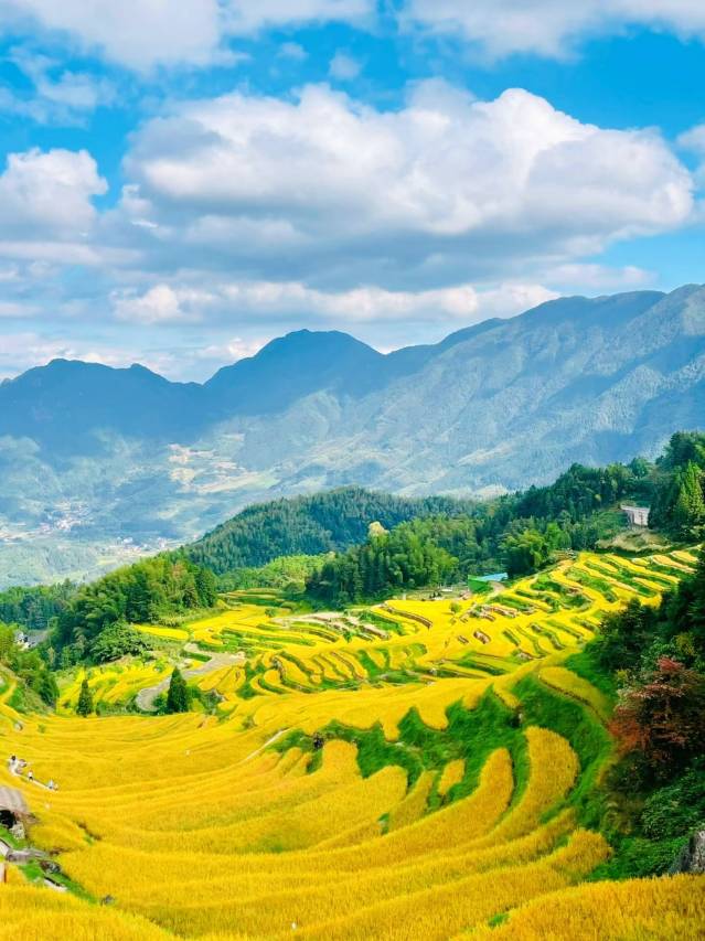 云和梯田云之梦客栈(七 星墩观景台店)图片
