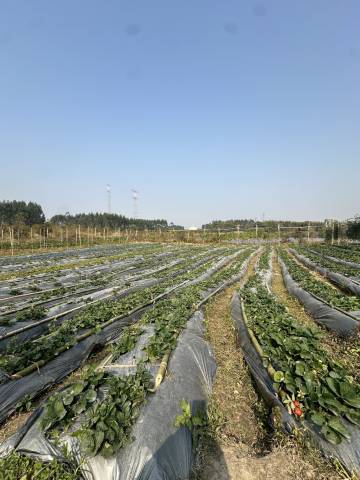 清远月景湾度假民宿图片