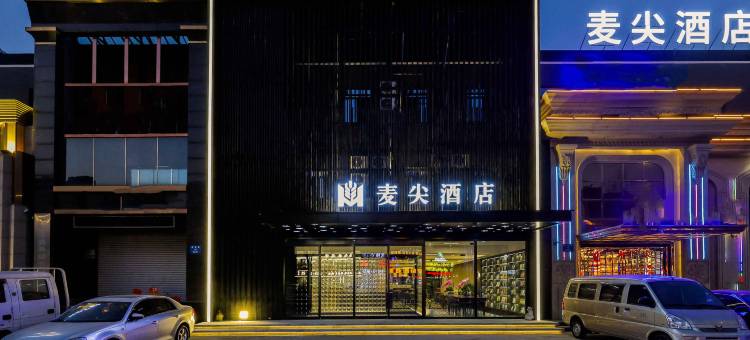 麦尖酒店(沈阳于洪广场地铁站店)图片