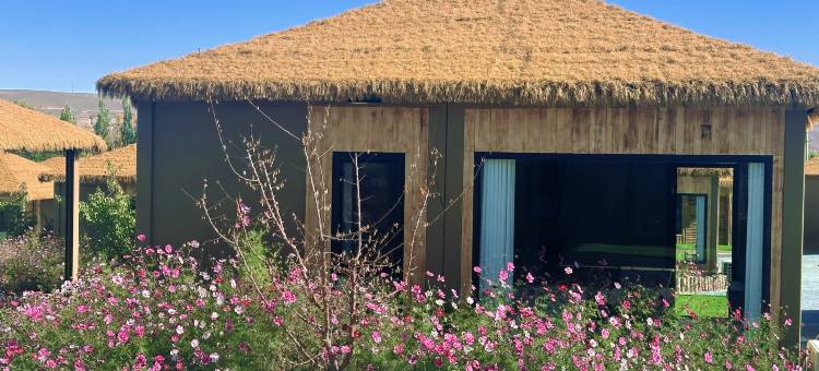 马帮寨营地图片