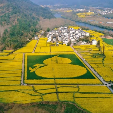 Ziyoujia · Tree house World Over view