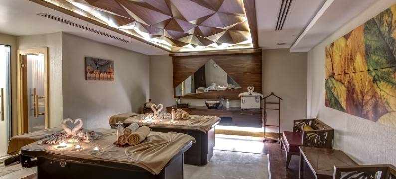 塔克西姆极乐世界酒店(The Elysium Taksim)图片