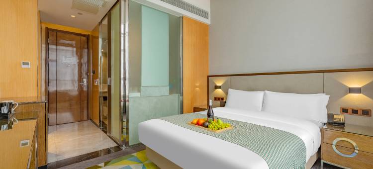 奕居假日酒店(襄阳沃尔玛民发广场店)图片