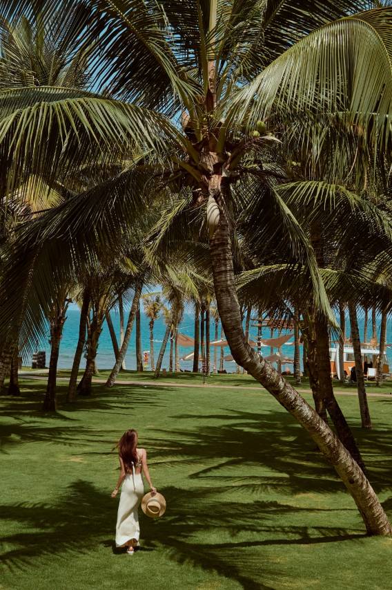 三亚海棠湾君悦酒店图片