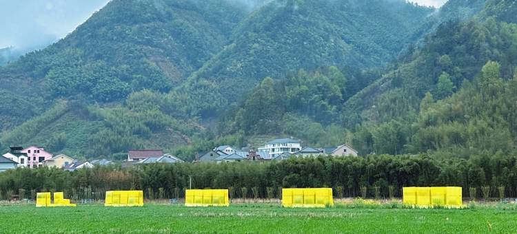 桐庐云麓里青野民宿(雅鲁漂流店)图片