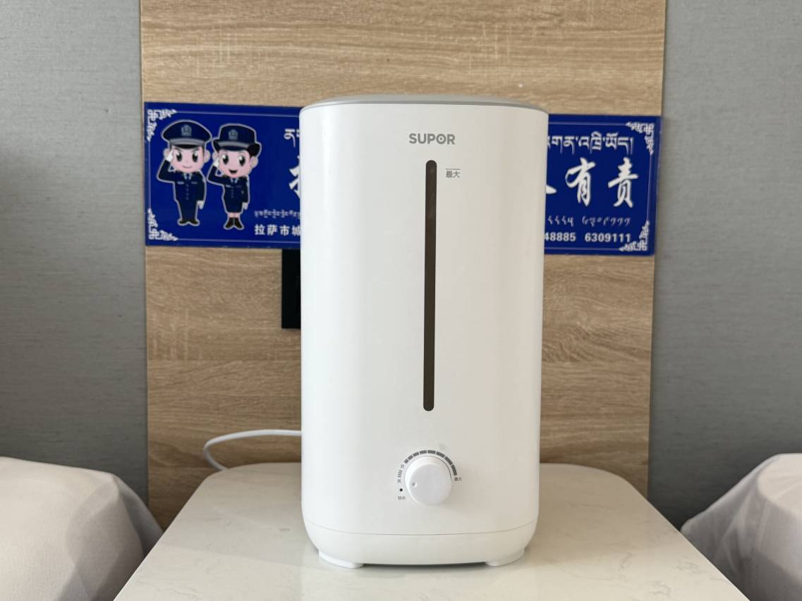 平措康桑观景酒店(布达拉宫店)图片