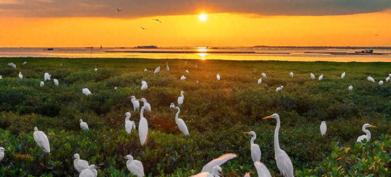 北海享想精品民宿(北海银滩店)图片
