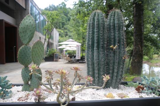 悦隐·画俚民宿(余东景区店)图片