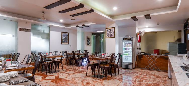 德里帕哈甘吉国王酒店(Hotel le Roi Near New Delhi Railway Station)图片