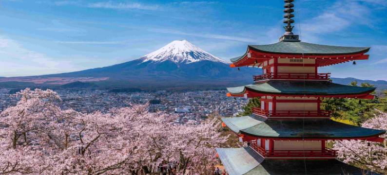 PICA富士吉田营地(Pica Fujiyoshida)图片