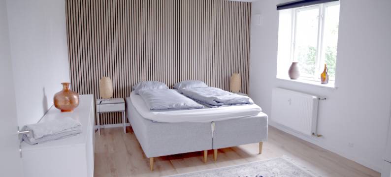 野天鵝 - 位於奧登塞的多床大房子/免費停車(The Wild Swan - Big house with many beds in Odense / Free Parking)图片