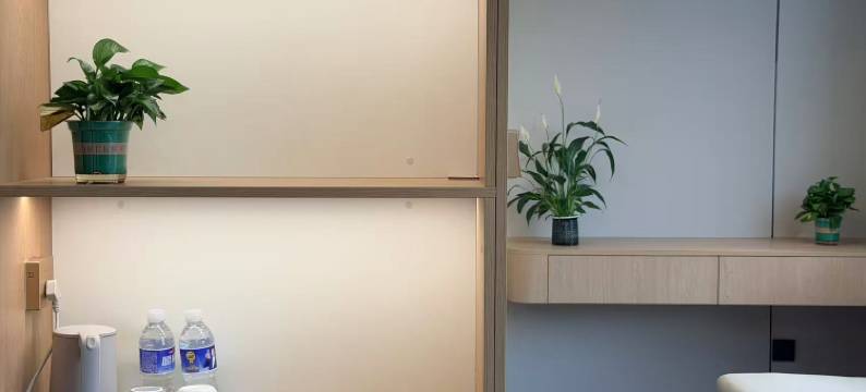 安岳豪迎酒店(兴柠街分店)图片