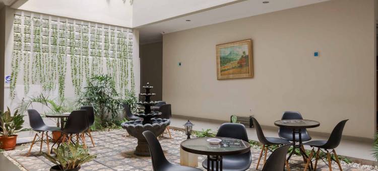 Palm Eight RedPartner图片