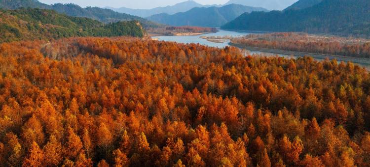 见吾乡·崃漫度假酒店(皖南川藏线店)图片