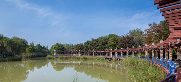 城市星光假日酒店(阜阳商厦时代广场师范大学店)图片