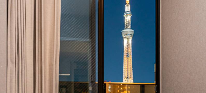 Mi-Hotel 浅草寺(Mi-Hotel Asakusa Senso-ji)图片