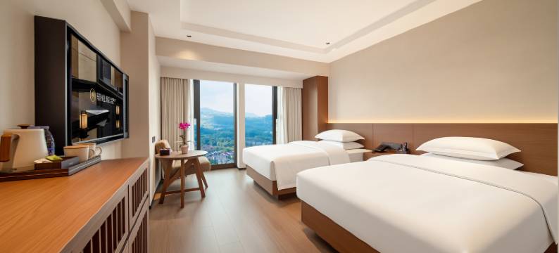 东阶锦上酒店(成都大运会体育中心万达广场店)图片