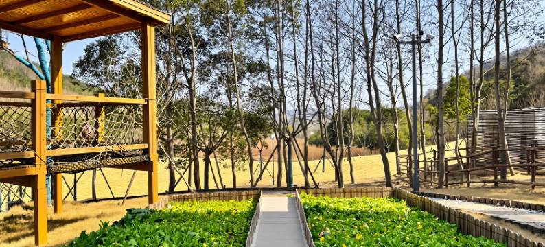 庐江溪地阿兰若吉光片羽图片