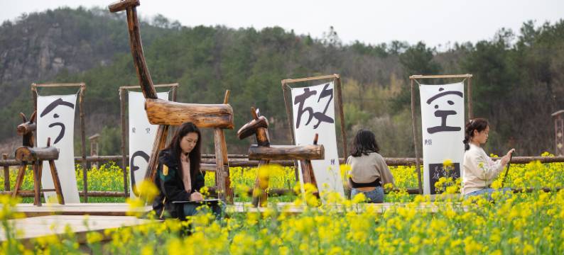 有稻山房村野景观民宿图片