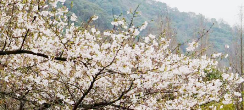 绍兴兰亭璞燊酒店图片