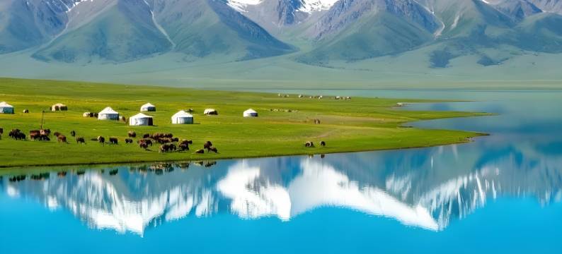 Shimmer·禾竹美宿(习水县政府店)图片